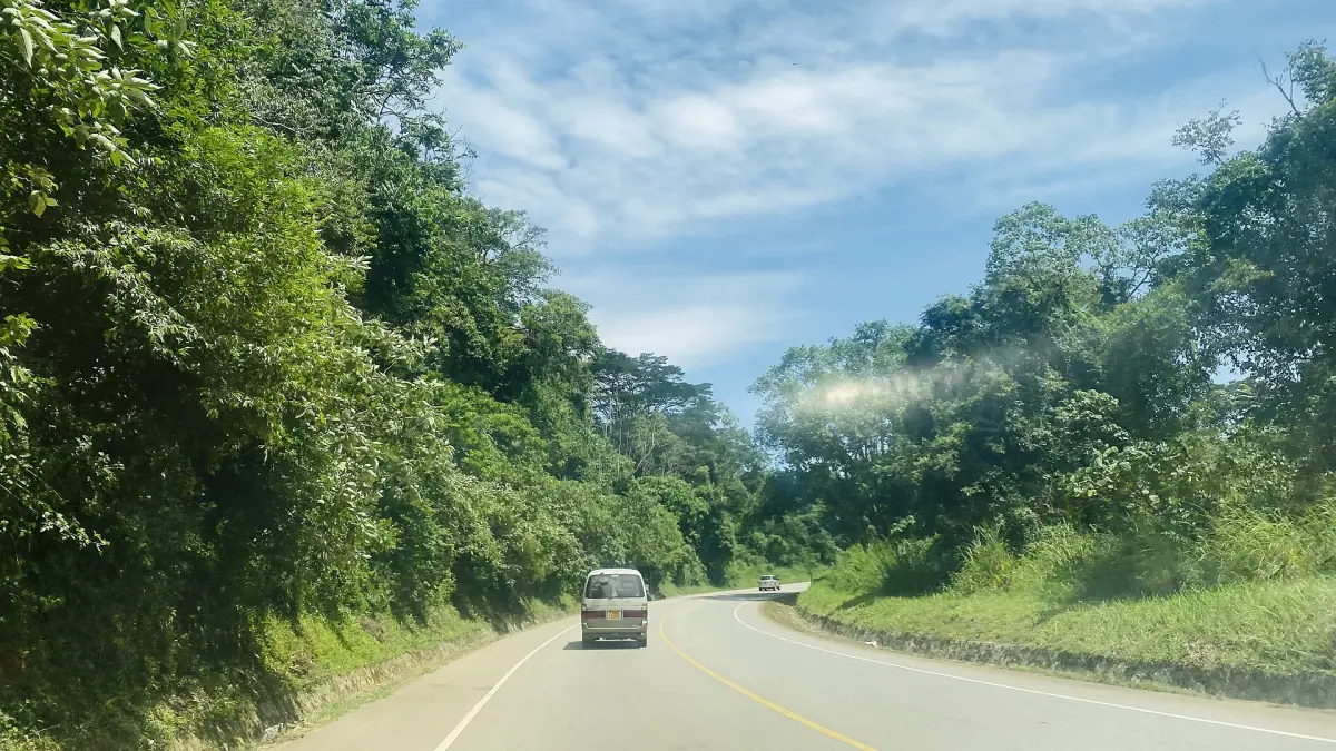 Paved road winding through green forest scenery in Kibale National Park