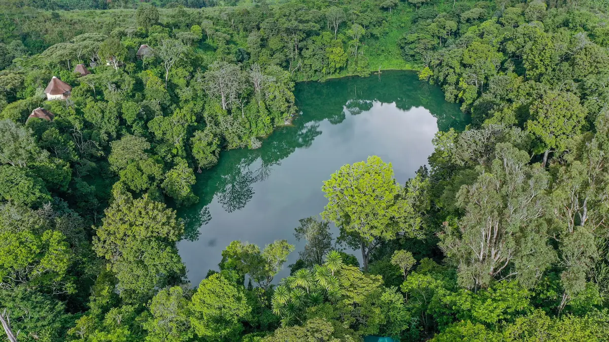 Aerial view of Lake Nkuruba surrounded by dense forest