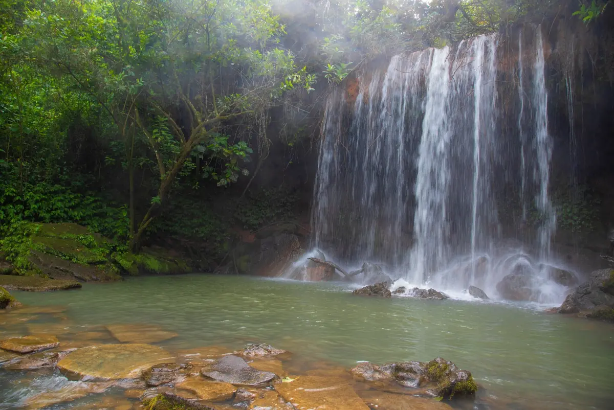 Nyakasura Falls plunging into a shallow pool surrounded by greenery