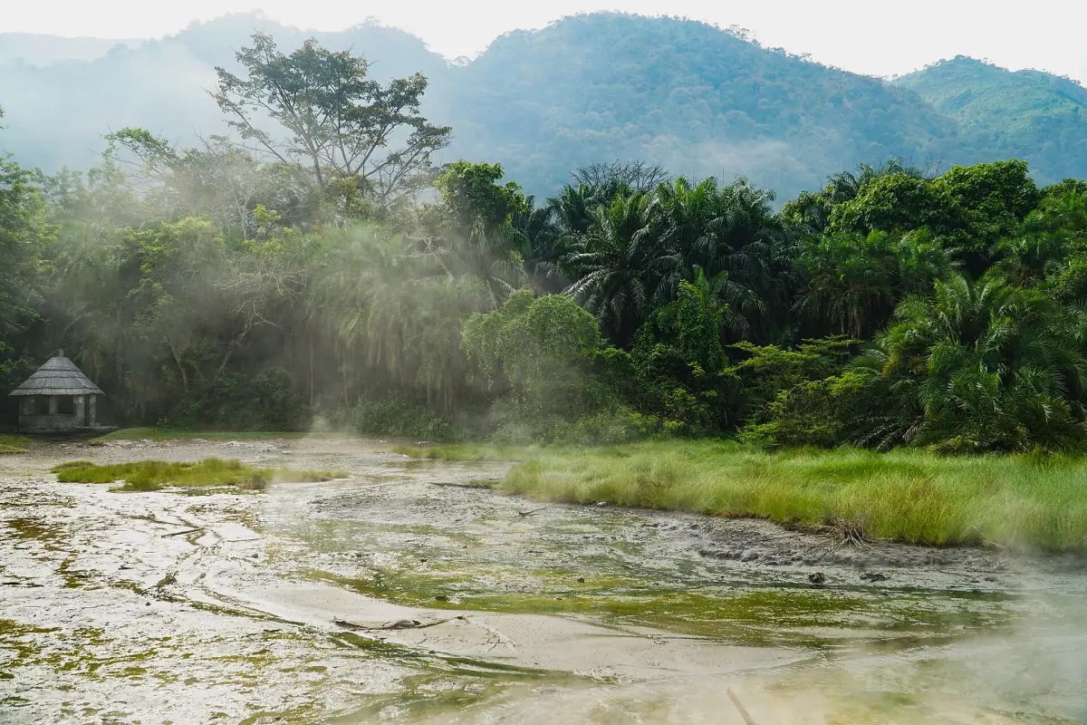 Steam rising over a mineral crusted hot spring with forest behind in Semuliki